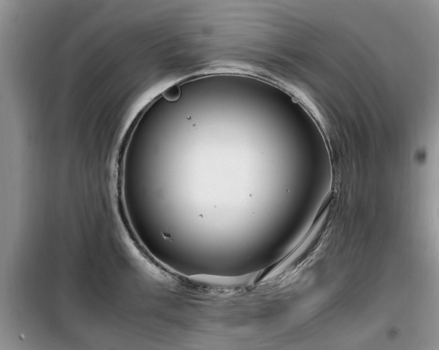 X0000099491003200805221333