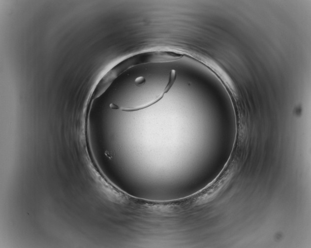 X0000099491004200805221333