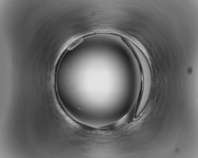 X0000099491005200805221333