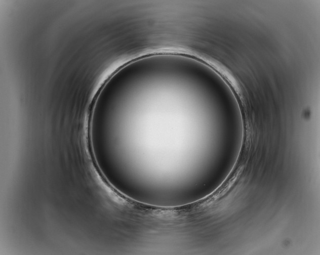 X0000099491006200805221333