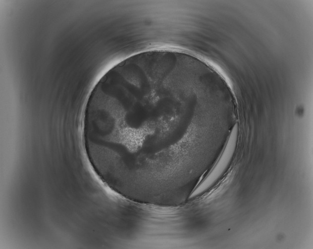 X0000099491007200805221333