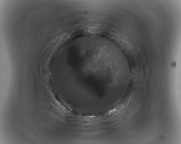 X0000099491009200805221332