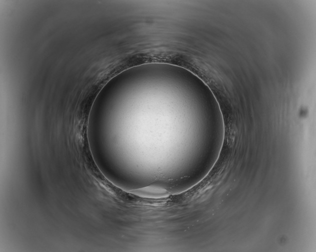 X0000099491010200805221332