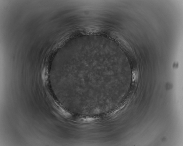 X0000099491011200805221332