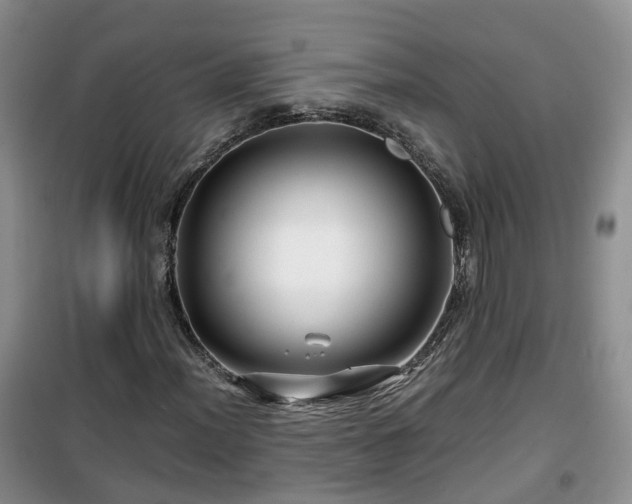 X0000099491012200805221332