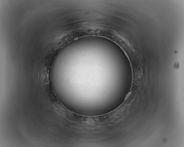X0000099491013200805221333