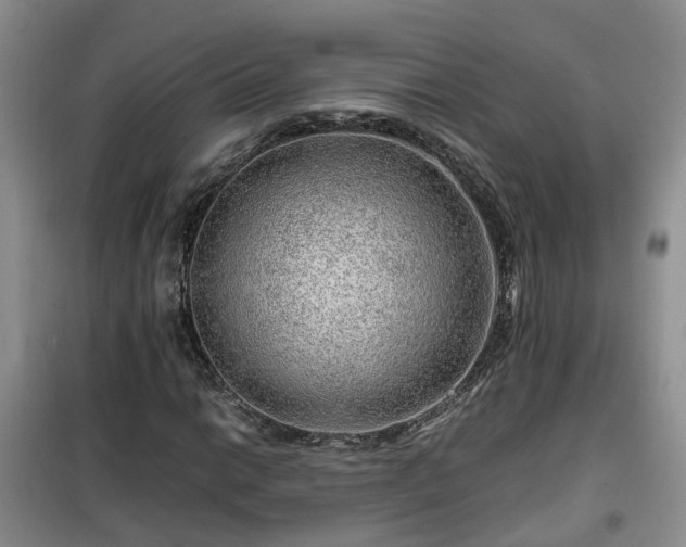X0000099491014200805221333
