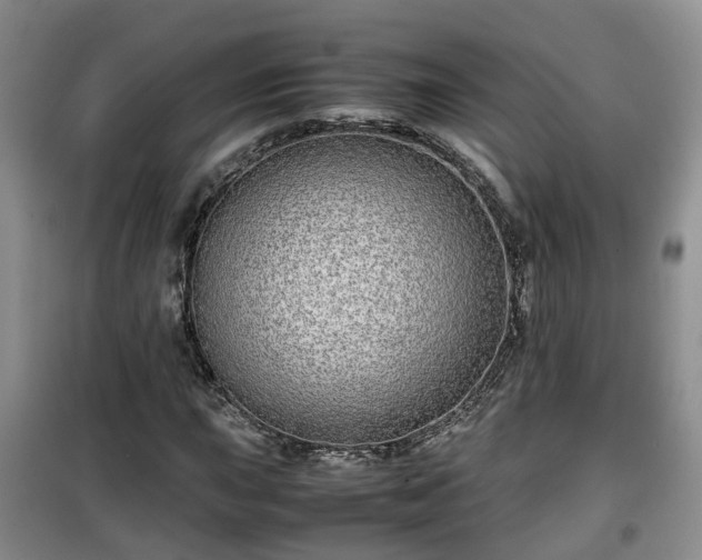 X0000099491015200805221333