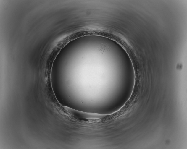 X0000099491016200805221333