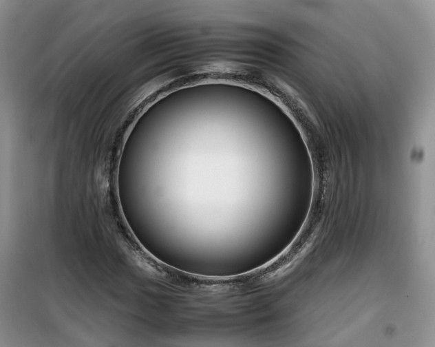 X0000099491017200805221333