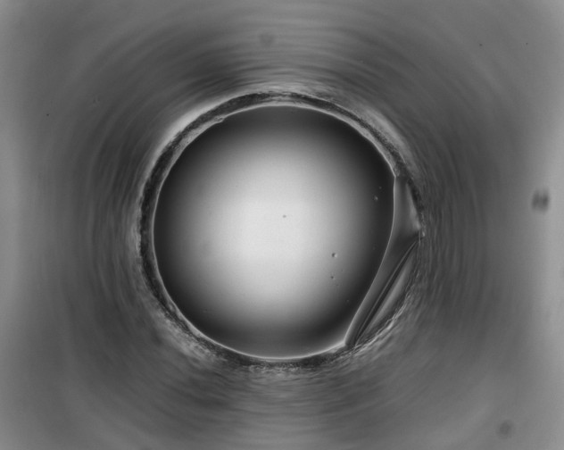 X0000099491020200805221333