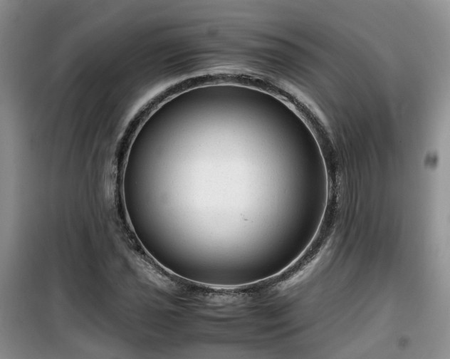 X0000099491021200805221333