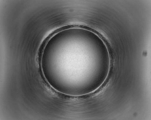 X0000099491022200805221333