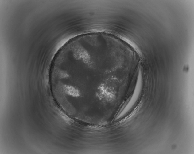 X0000099491023200805221333
