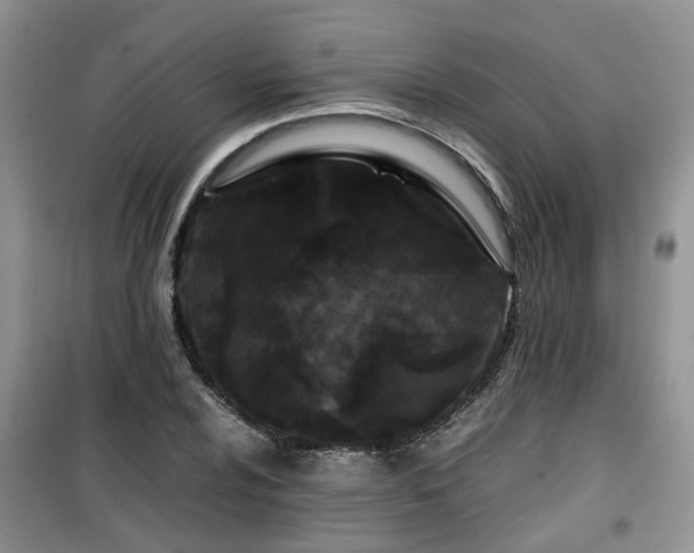 X0000099491024200805221333