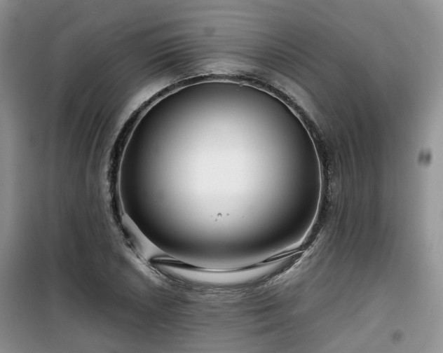 X0000099491026200805221333