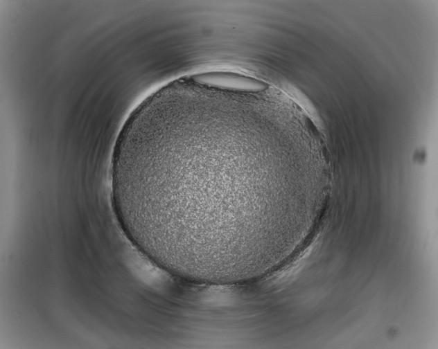 X0000099491028200805221333