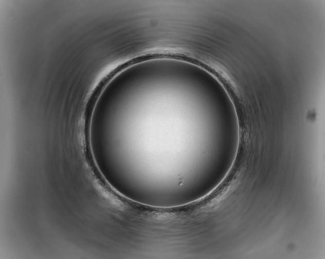 X0000099491030200805221333