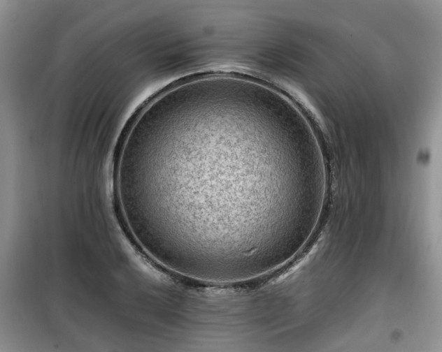 X0000099491032200805221333