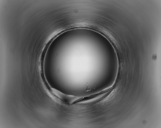 X0000099491034200805221333