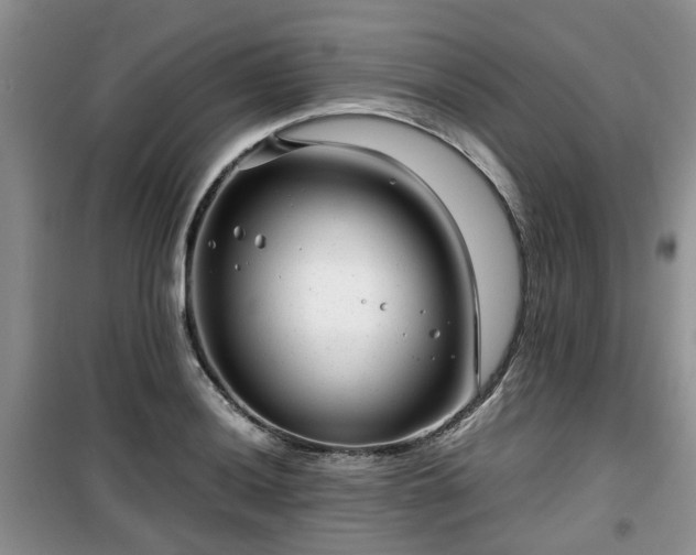 X0000099491036200805221333