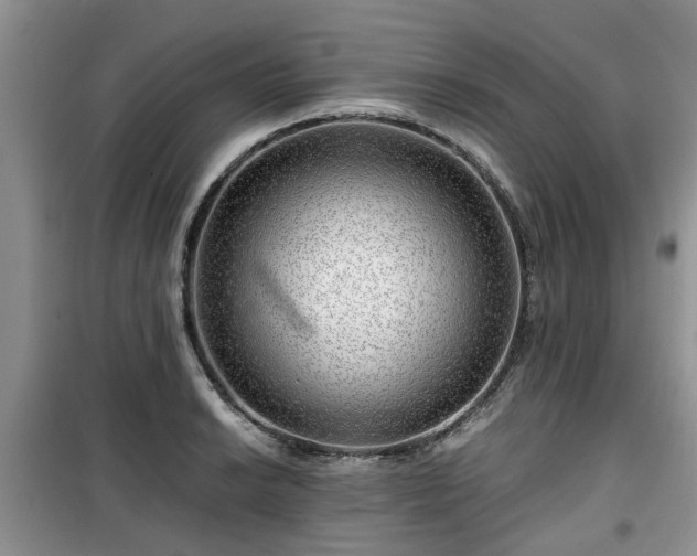 X0000099491038200805221333