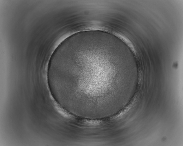 X0000099491039200805221333