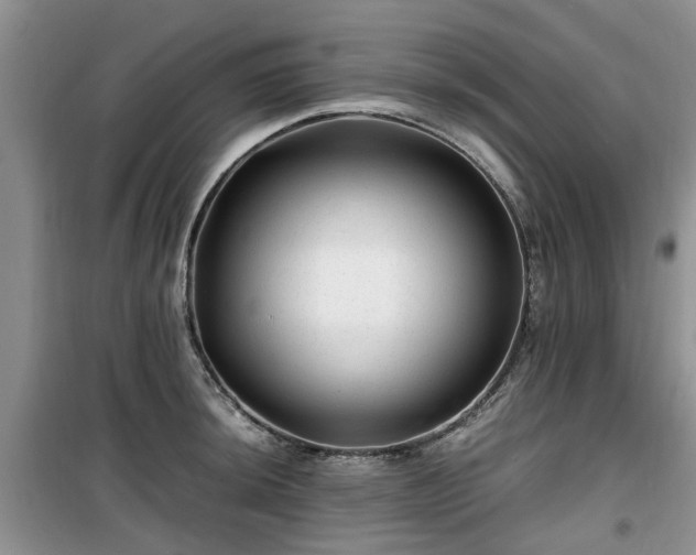X0000099491044200805221333