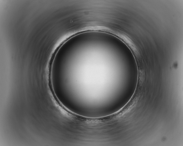 X0000099491046200805221333
