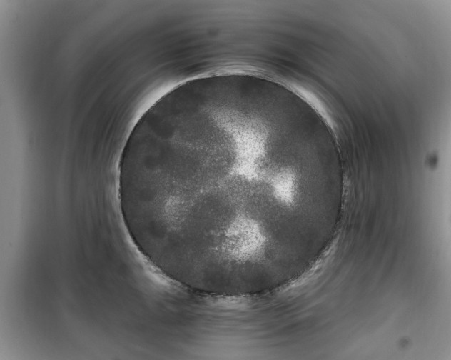 X0000099491047200805221333