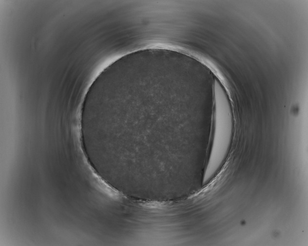 X0000099491048200805221333