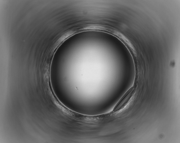 X0000099491049200805221333