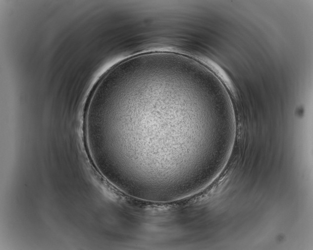 X0000099491051200805221333