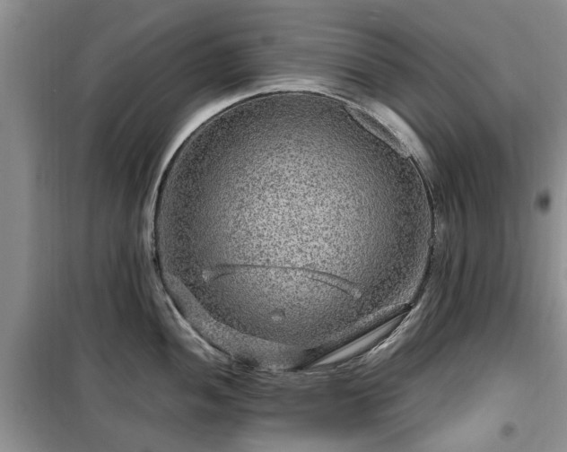 X0000099491052200805221333