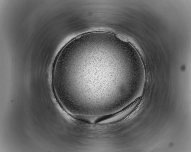 X0000099491054200805221333