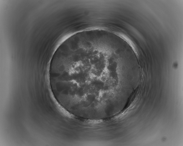X0000099491055200805221333