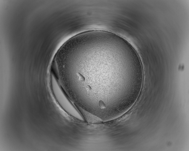 X0000099491056200805221333