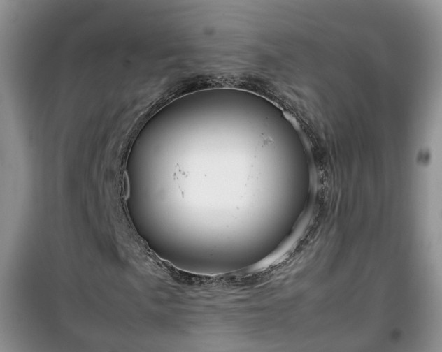 X0000099491057200805221332