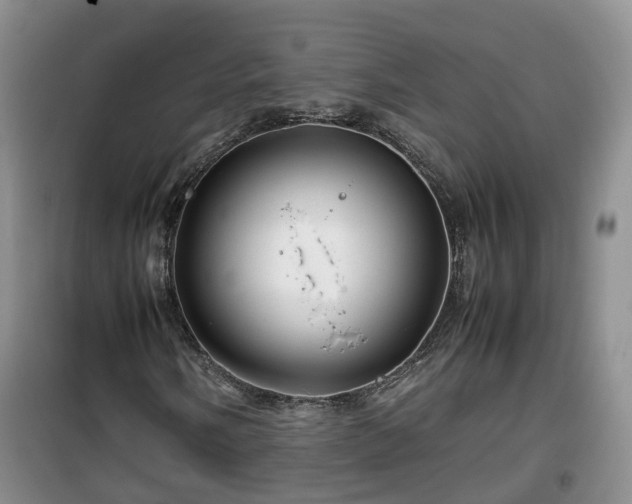 X0000099491058200805221332