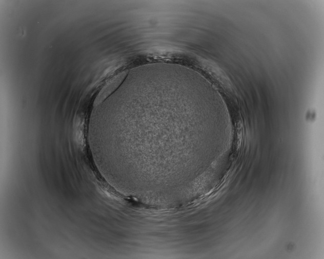 X0000099491060200805221332