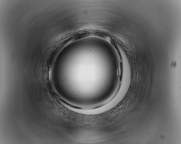 X0000099491062200805221332