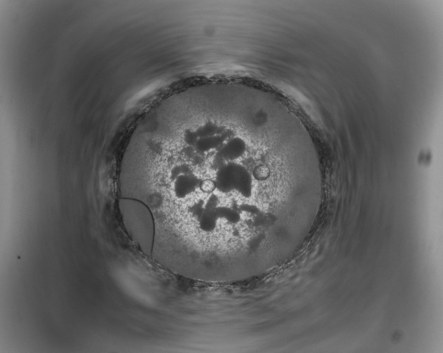 X0000099491063200805221332