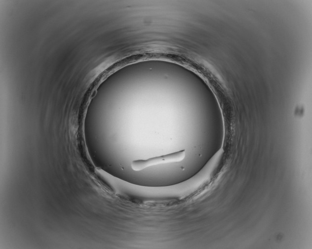 X0000099491065200805221332