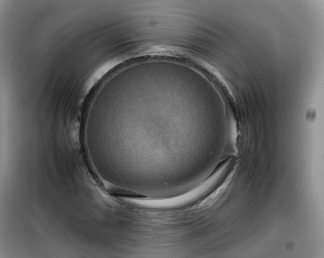 X0000099491066200805221332