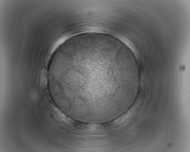 X0000099491067200805221332