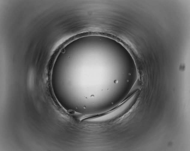 X0000099491070200805221332