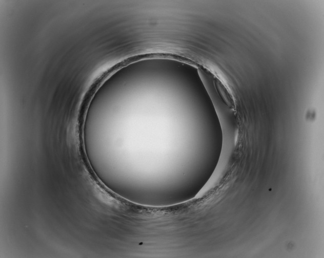 X0000099491072200805221332