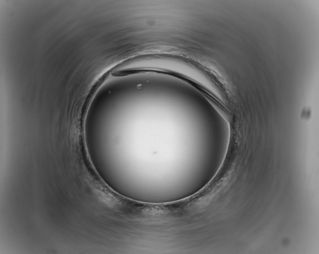 X0000099491073200805221332