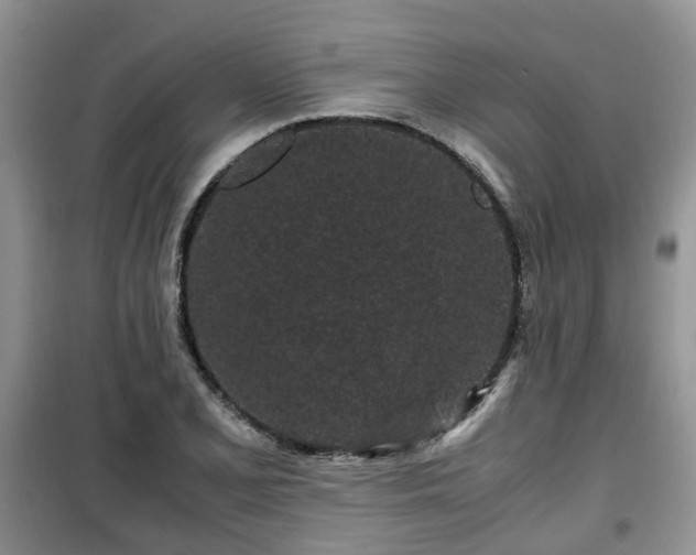 X0000099491077200805221332