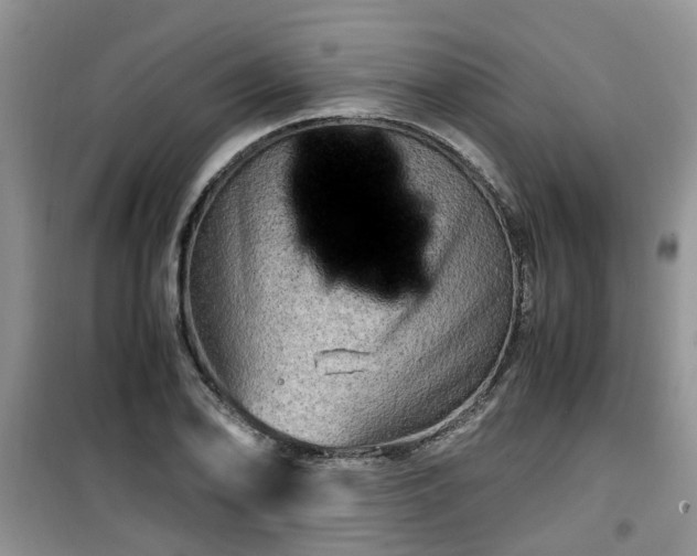 X0000099491078200805221332